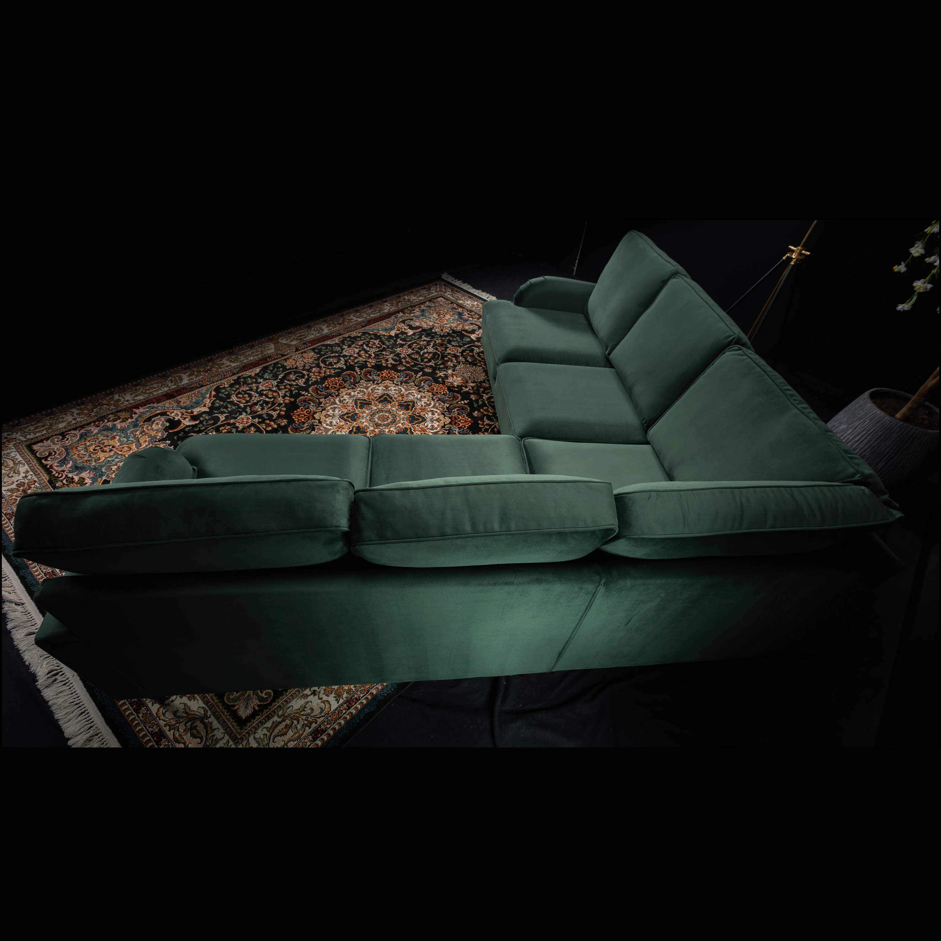 Albert in Plush Velvet - Image 104