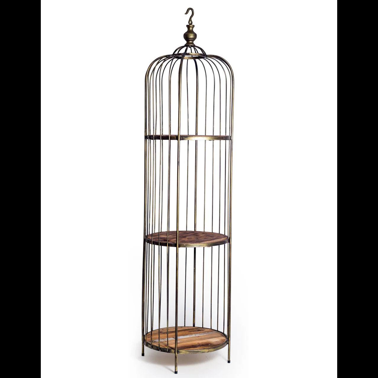 Bird Cage Gold - Image 2