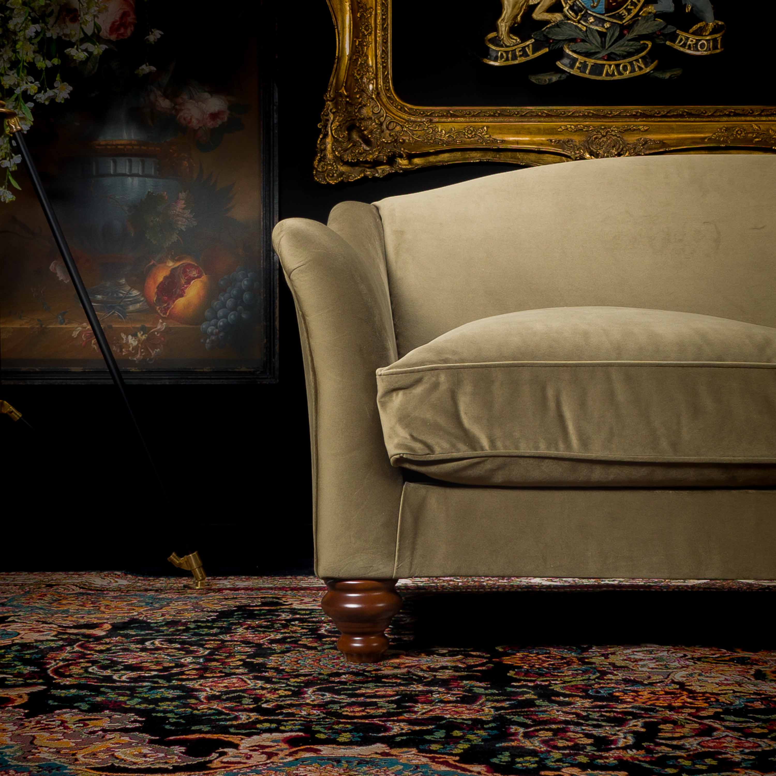Bugsby in Plush Velvet - Image 24