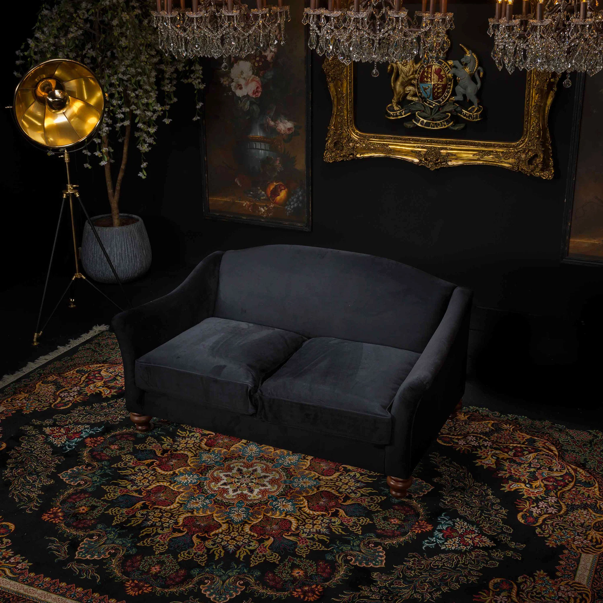 Bugsby in Plush Velvet - Image 40