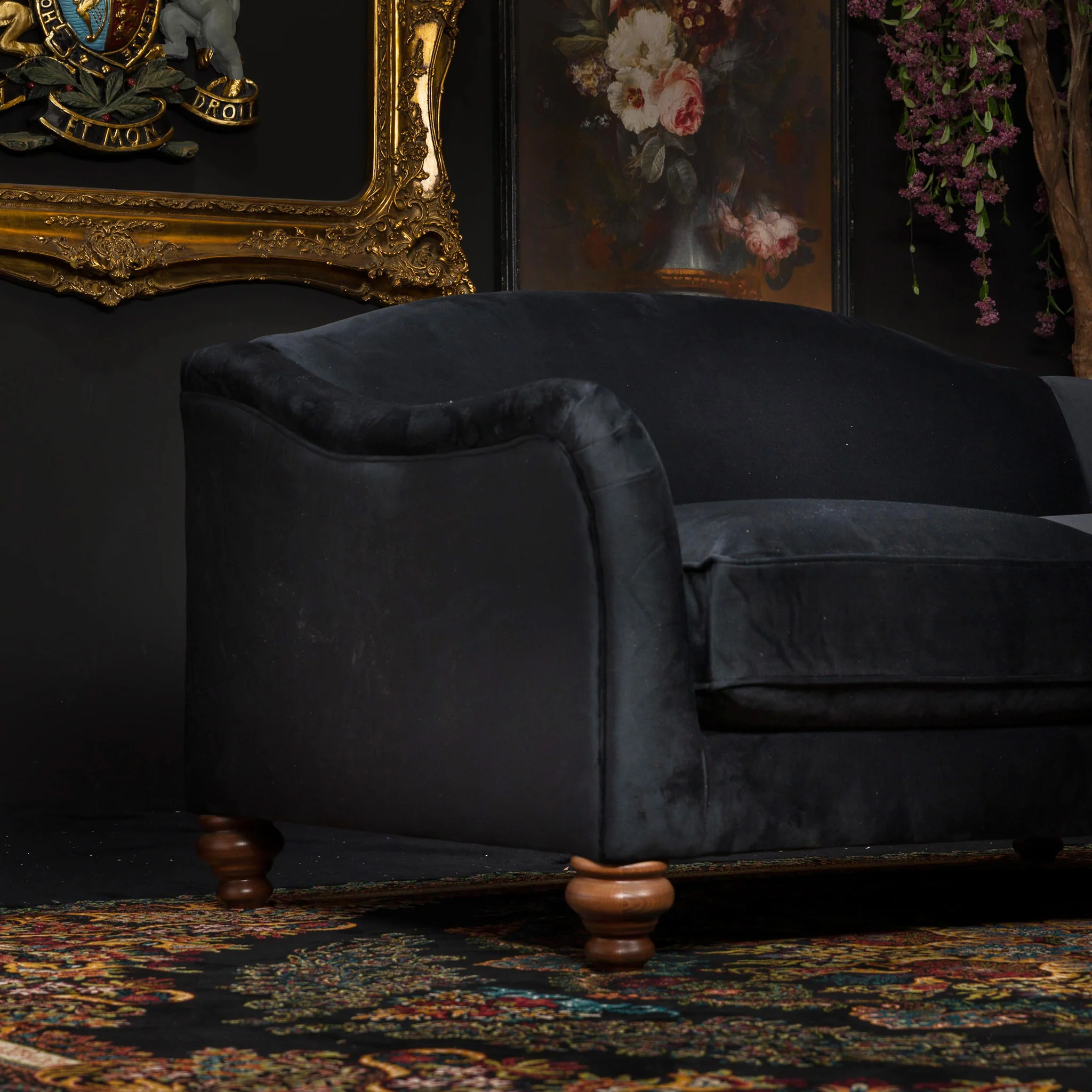 Bugsby in Plush Velvet - Image 42