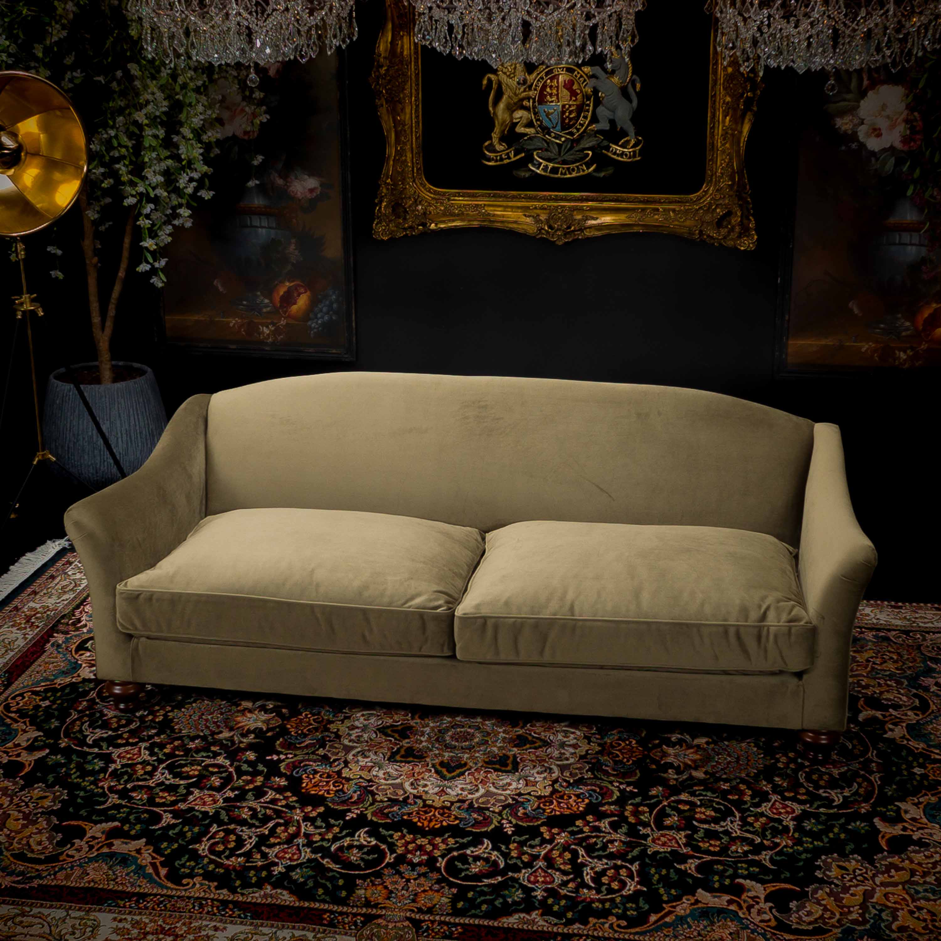 Bugsby in Plush Velvet - Image 52