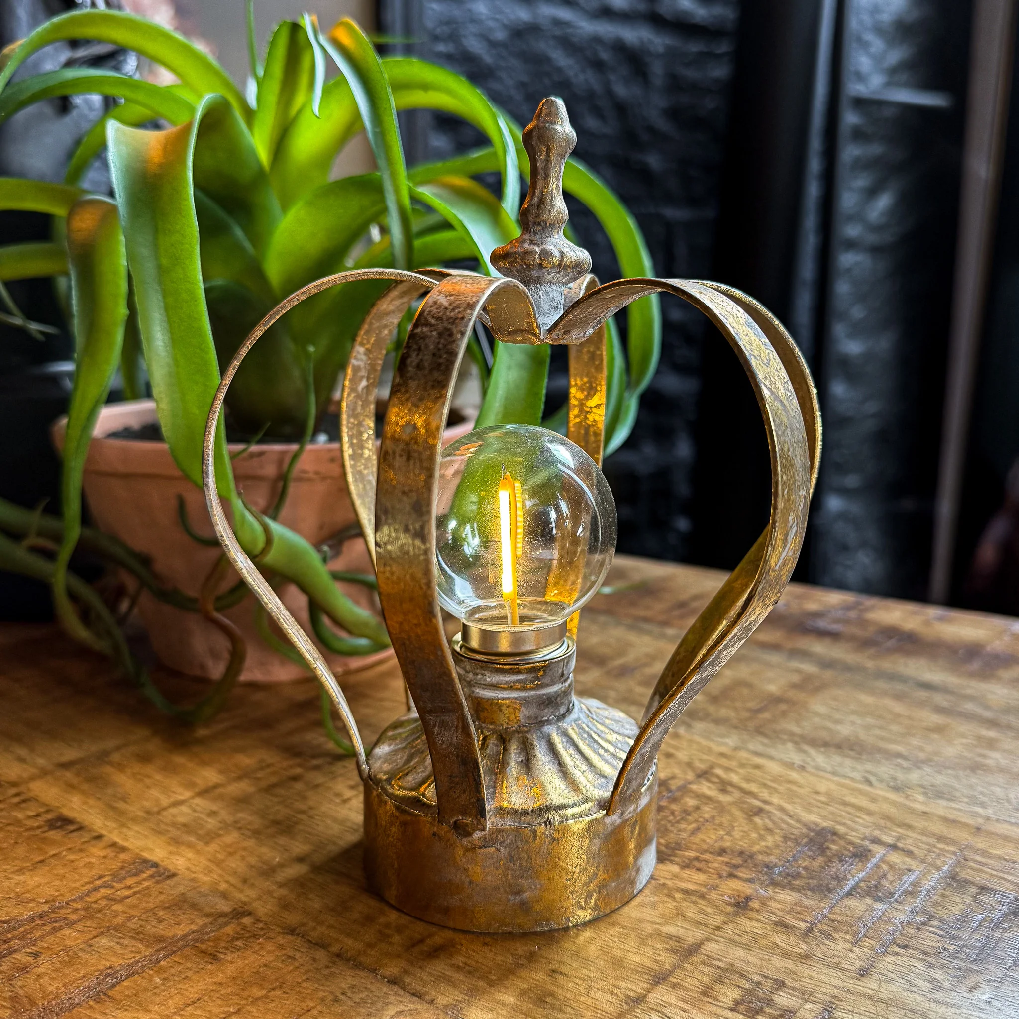 Crown Light