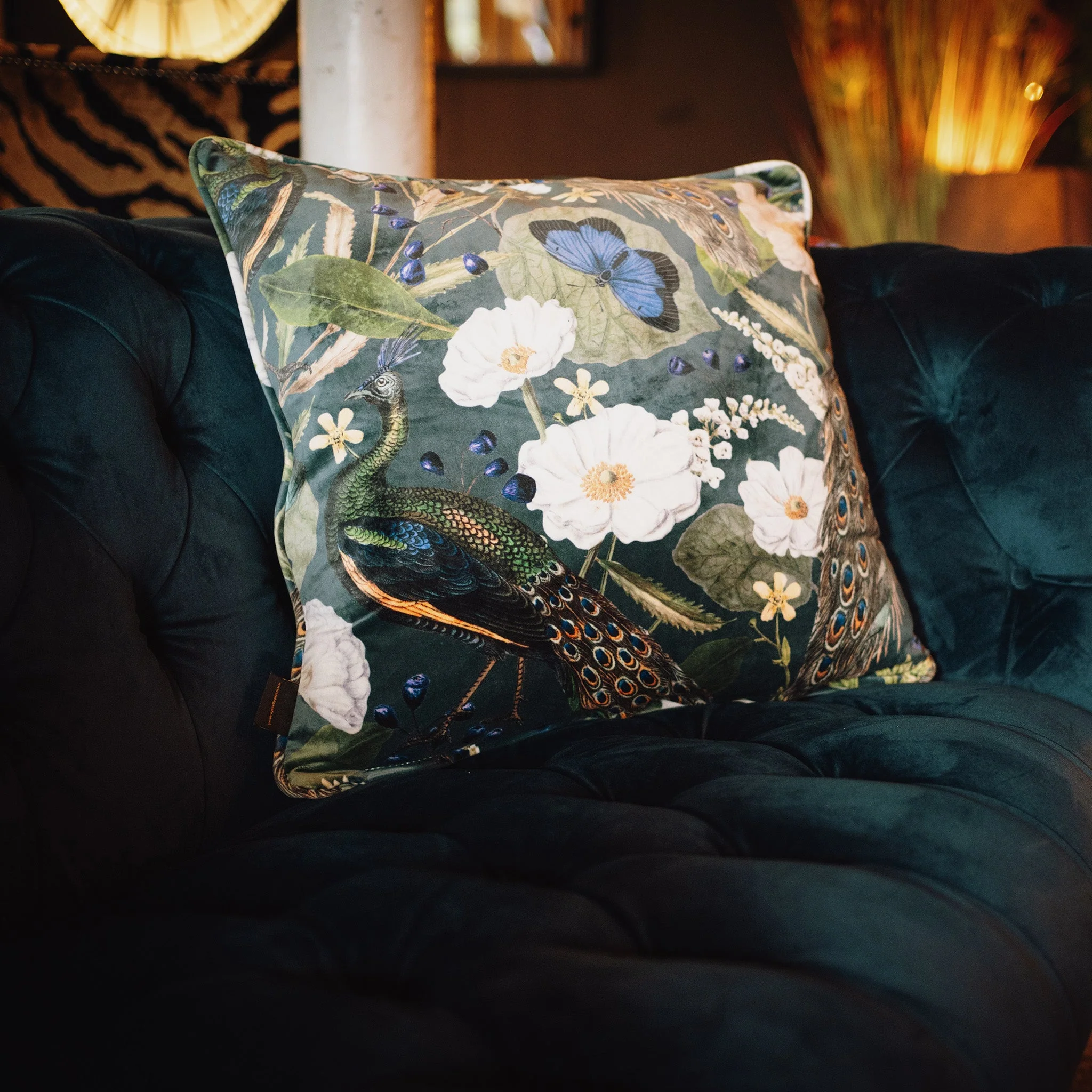 Cushion in Peacock Butterfly Teal Velvet Feather Filled (Various Sizes) - Image 2