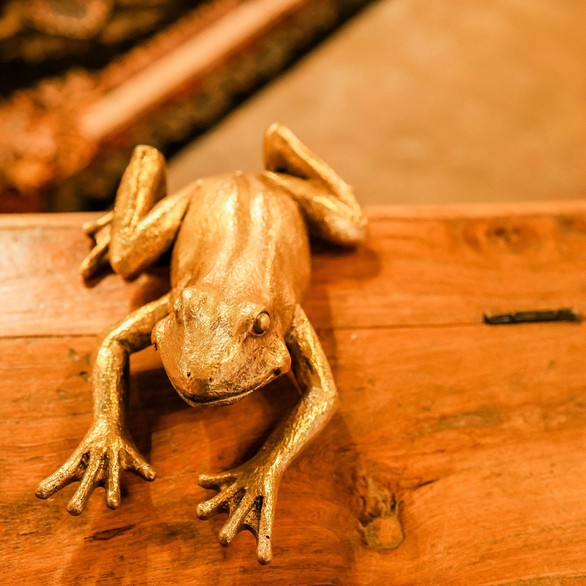 Gold Frog Wall Decoration - Image 2