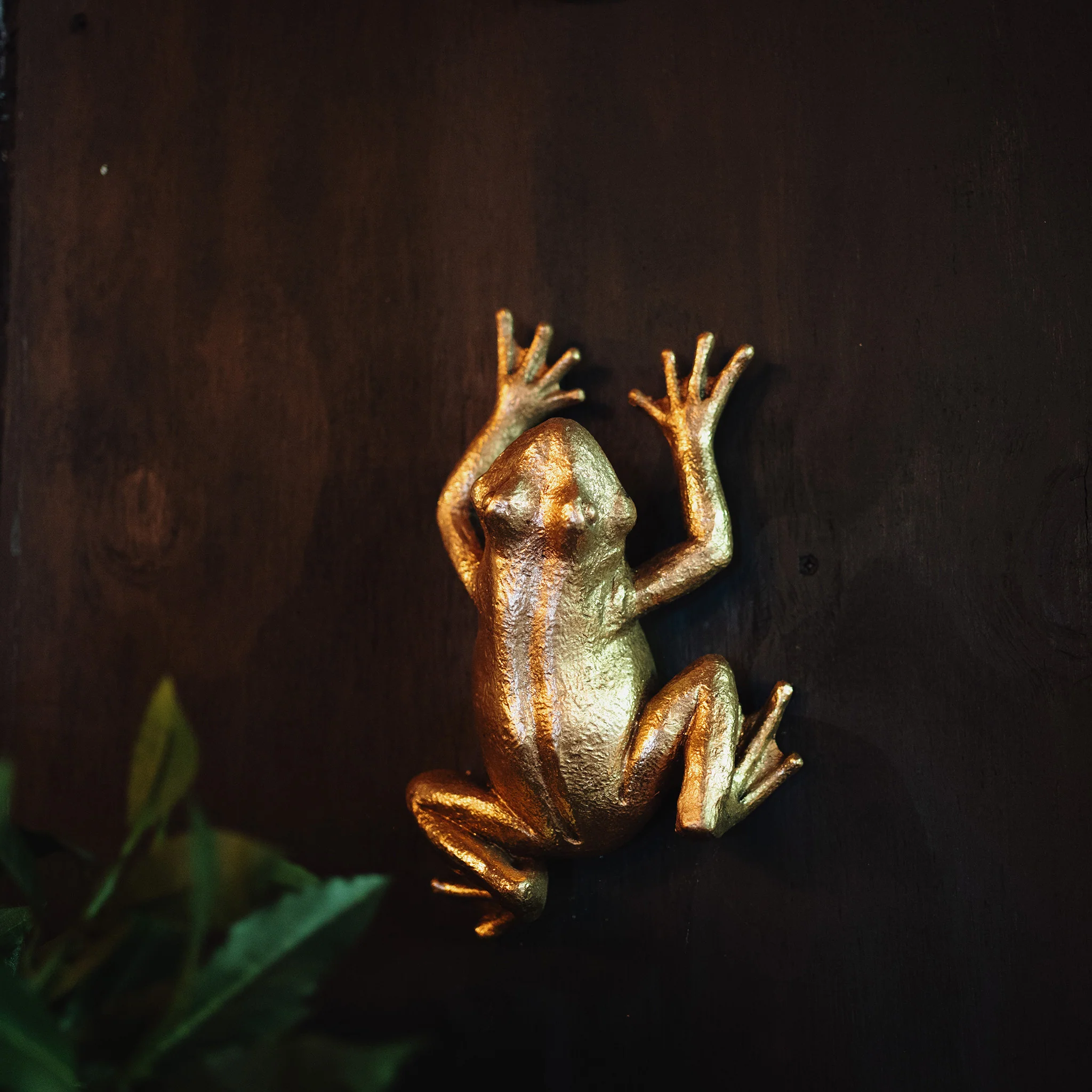 Gold Frog Wall Decoration - Image 3