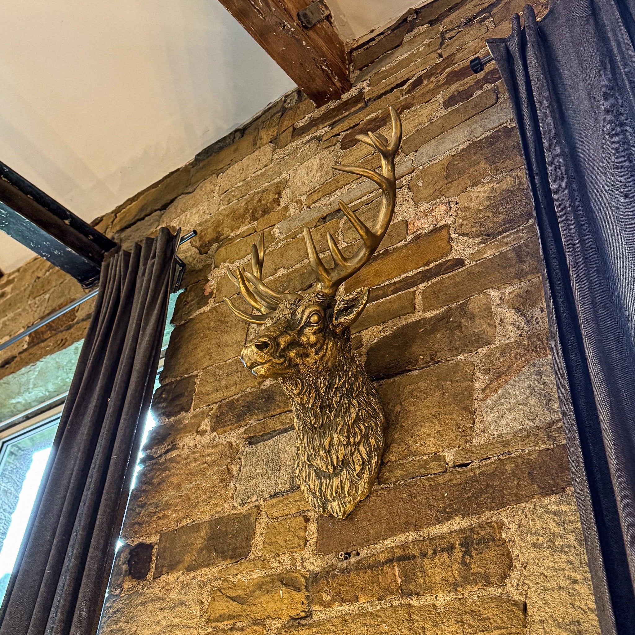 Gold Stag Wall Head - Image 2