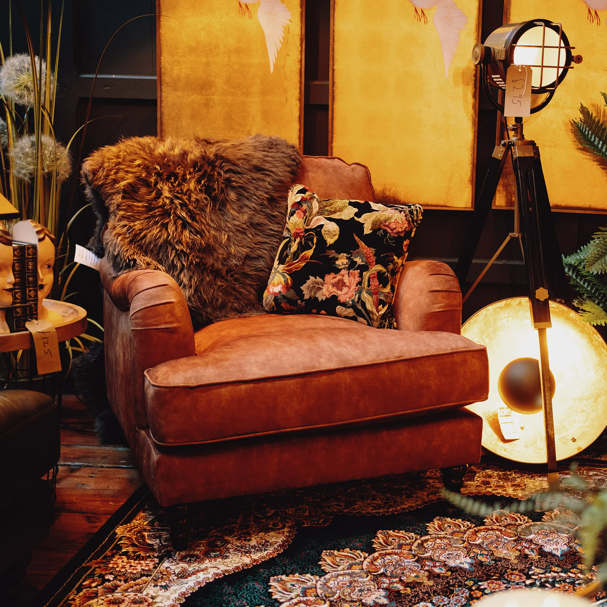 Howard Armchairs in Velvet - Image 9