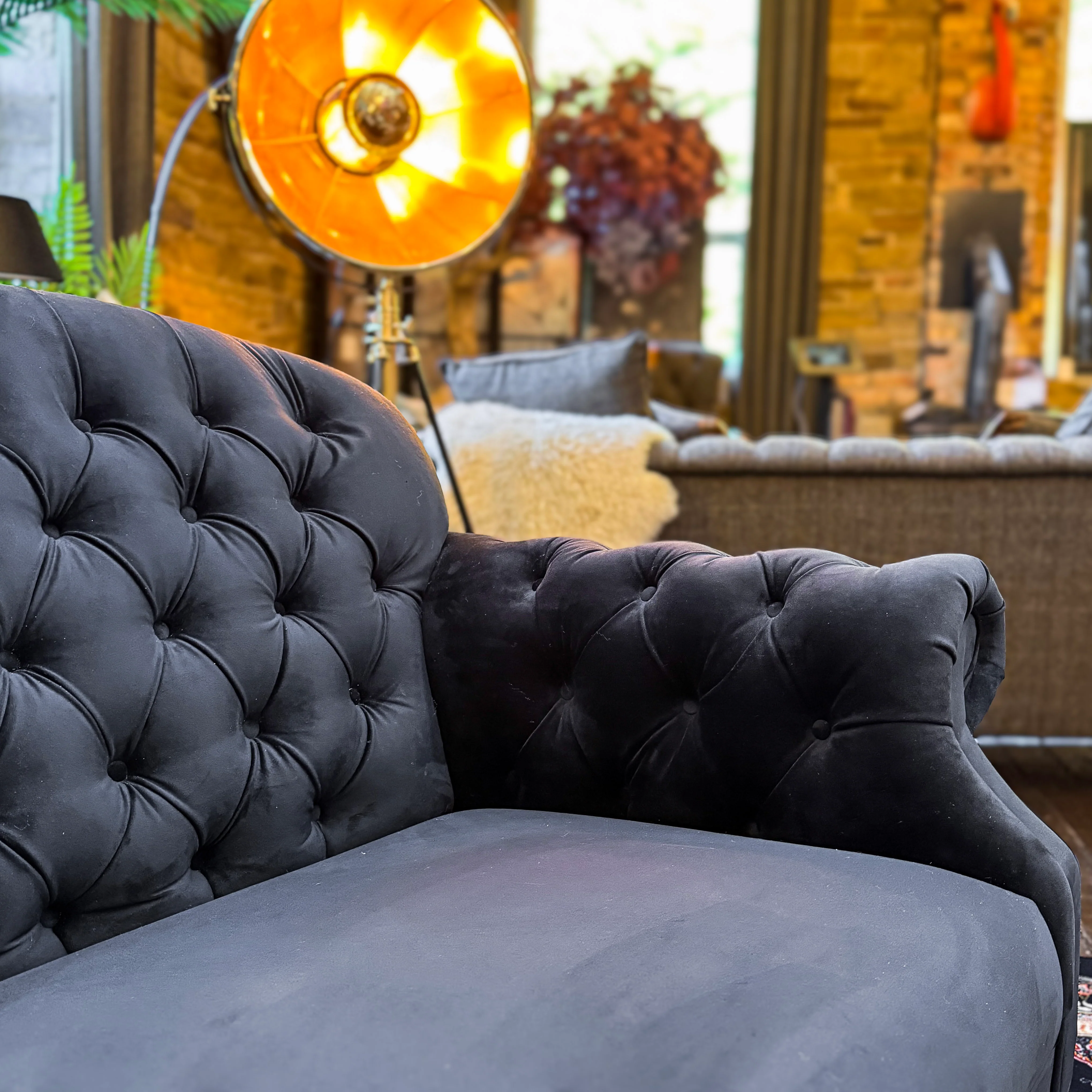 Mayfair in Plush Ebony Velvet - Clearance - Image 4