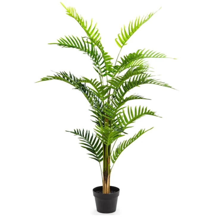 Ornamental Fern Tree in Black Pot 120cm - Image 4