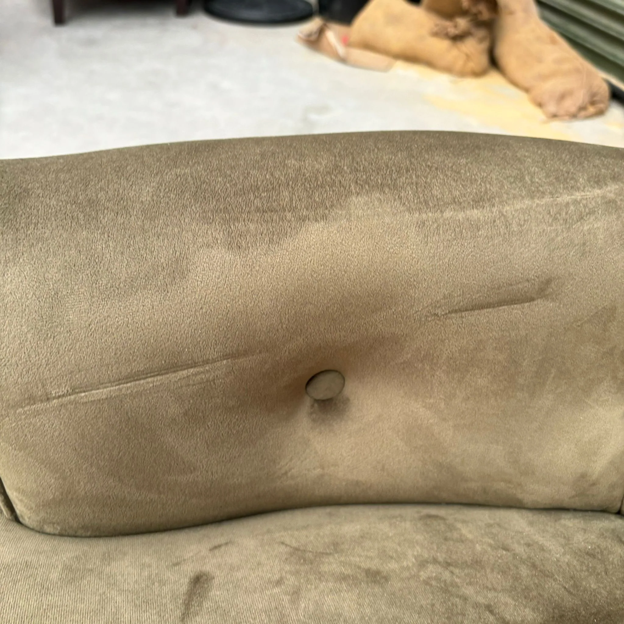 Selfridges Buttoned Wing Back Chair in Plush Khaki & Midnight Haze - Clearance - Image 6