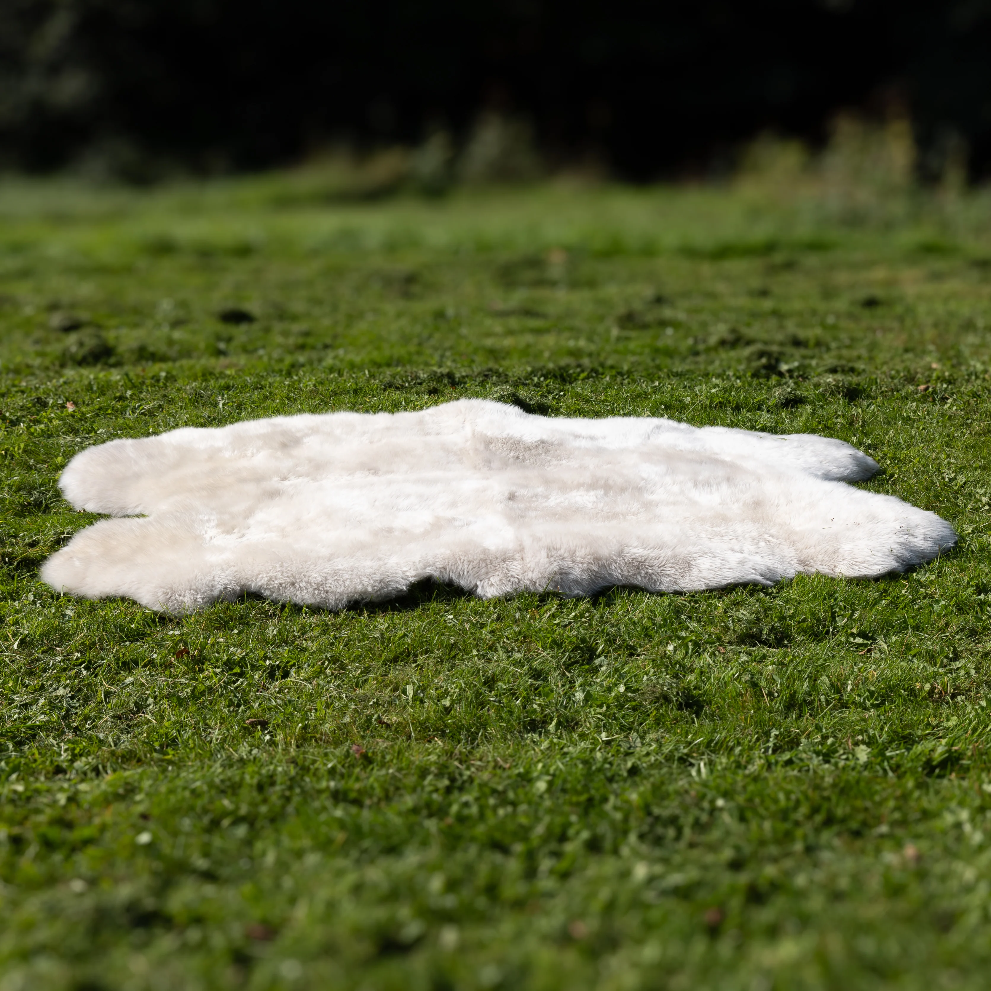 Sheepskin Rug In Cream Oyster - Quad - Image 3