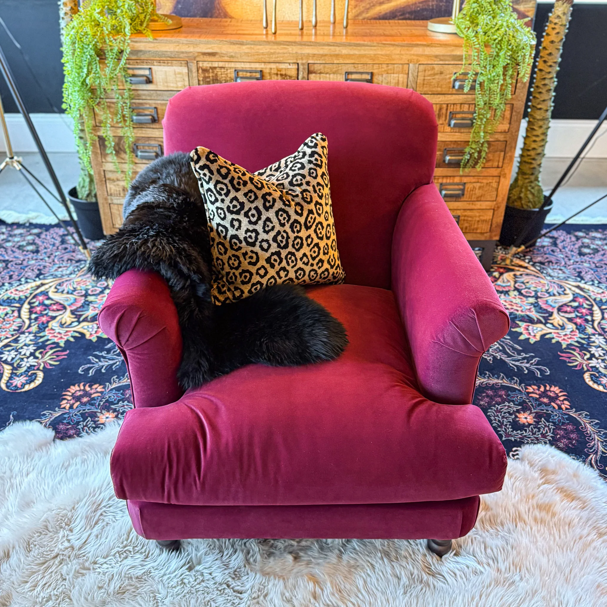 Truffle Armchair in Royal Velvet - Image 28